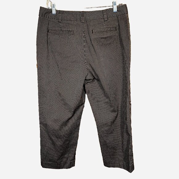 Talbots Seersucker Cropped Pants Brown Stripe Size 10  Quiet Luxury Coastal Chic - Picture 2 of 6